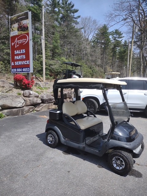 2008 Club Car Precedent 2P - Image 4